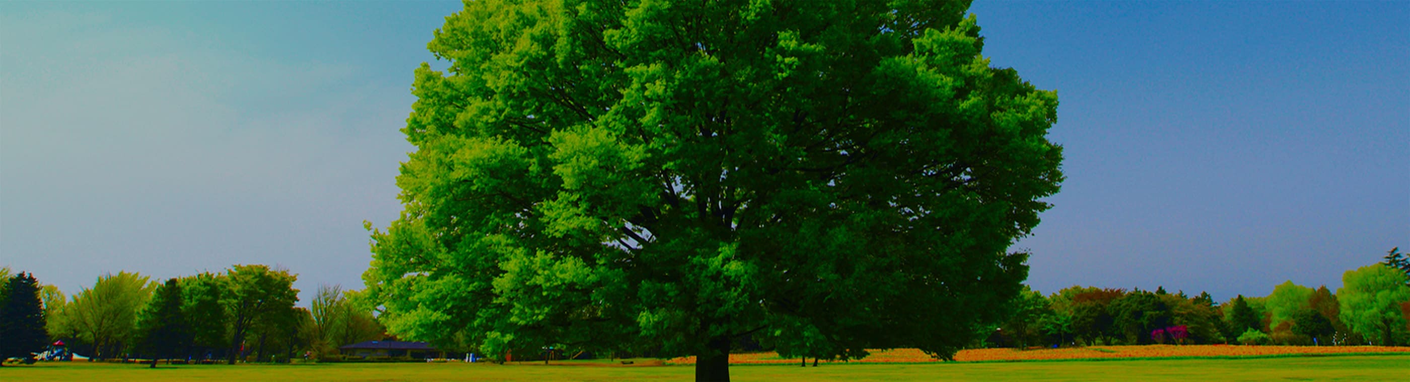 焼きなまし・磁気焼鈍・応力除去など各種熱処理のお悩みにお応えします！